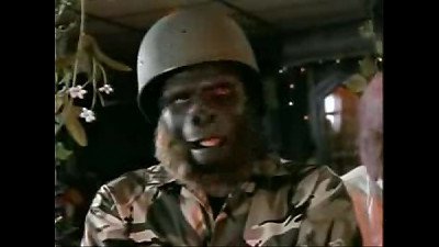 partner of the Apes